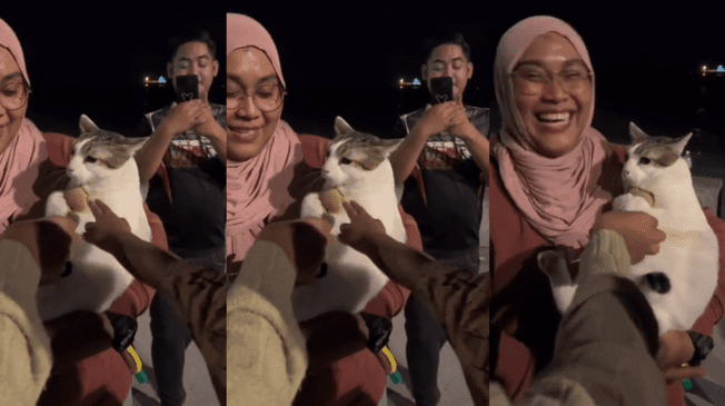 Viral: Gatito se aferra a su peluche y enternece a miles de usuarios