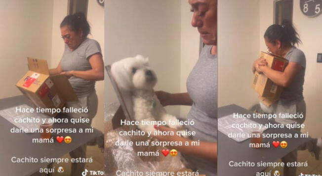 TikTok: mujer rompió en llanto tras recibir peluche de su perrito fallecido - VIDEO