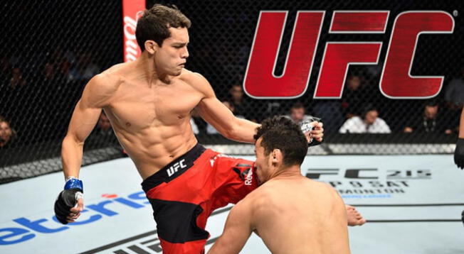 ¿Quiénes y cuántos han sido los peleadores peruanos que han estado en la UFC?