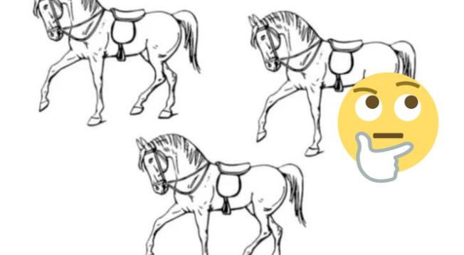 ¿Qué caballo es el diferente? Resuelve este reto visual en 7 segundos.