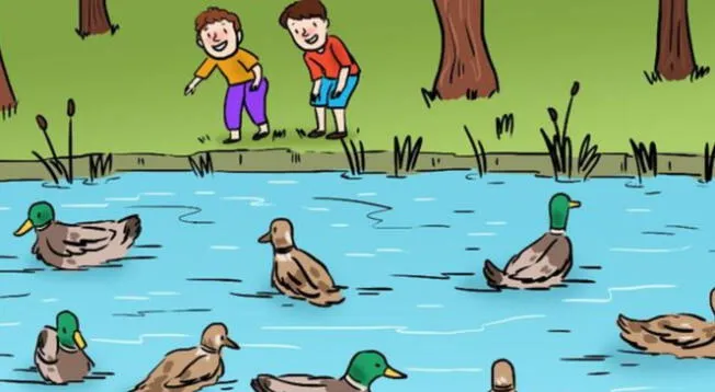 ¿Qué animal se esconde entre los patos? Tienes 3 segundos para resolver este reto visual