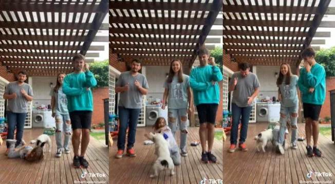TikTok: la divertida pelea entre una niña y su perro al grabar un baile que se volvió viral