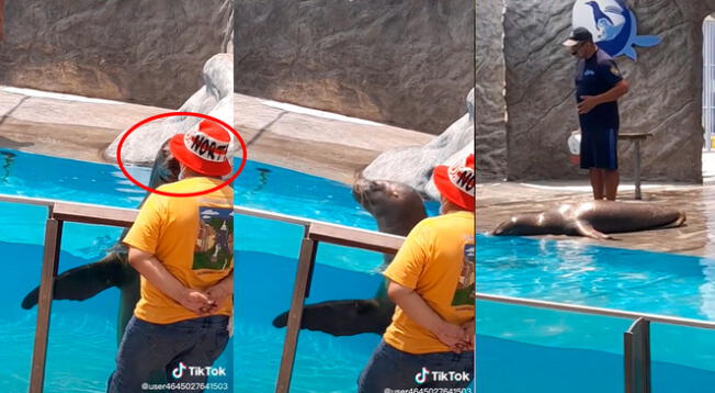 TikTok: foca 'aliancista' le roba beso a turista, descubre que es hincha de la U y se arrepiente