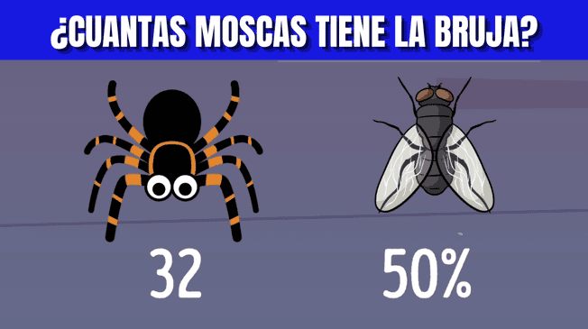 Acertijo solo para INTELIGENTES: Descubre cuántas moscas tiene la bruja en 6 segundos