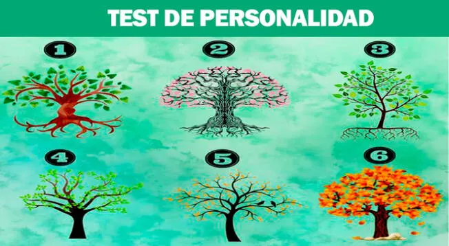 Descubre cuán celoso eres con este sorprendente test de personalidad. Descubre cuán celoso eres con este sorprendente test de personalidad.