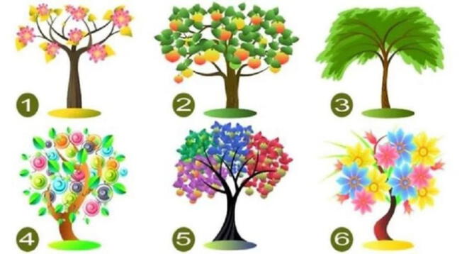 ¿Qué árbol te gusta más? Tu elección revelará un gran secreto de tu personalidad