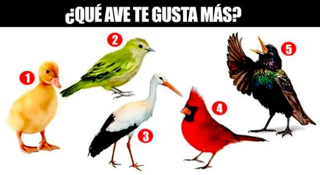 Elige una de las 5 aves y conoce qué tan inocente eres. Elige una de las 5 aves y conoce qué tan inocente eres.