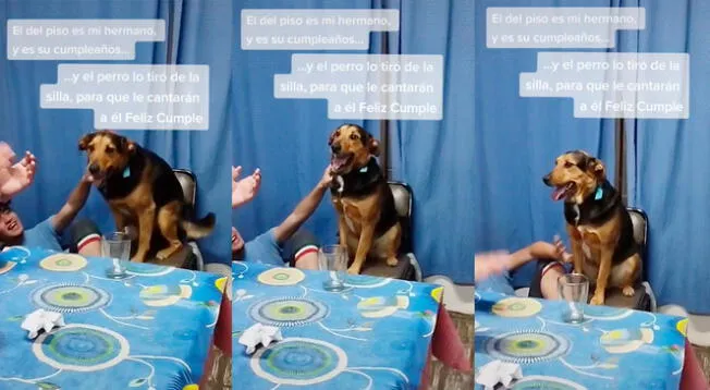 Perro protagoniza un divertido momento en el cumpleaños de su dueño.