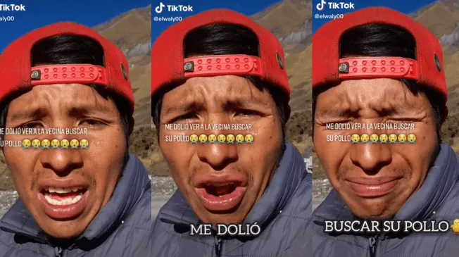 TikTok: Joven roba el pollo de su vecina para completar su almuerzo y redes estallan