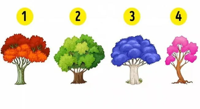 Elige un árbol y descubre que te revelará este test viral sobre tu personalidad