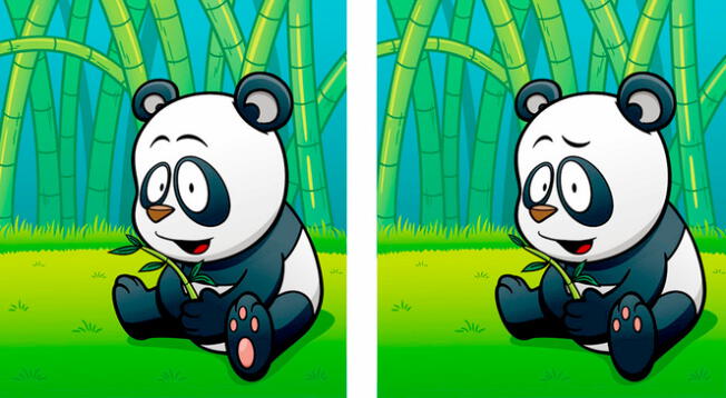 Reto visual: encuentra las 5 diferencias entre los pandas. Reto visual: encuentra las 5 diferencias entre los pandas.