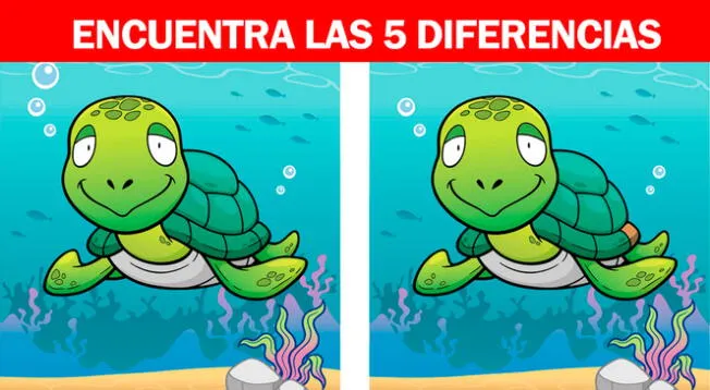 Reto visual: Encuentra las 5 diferencias entre las tortugas.