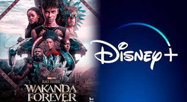 Revisa cuándo llega la nueva película de Black Panther a Disney Plus