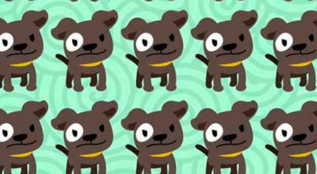 Encuentra en cuestión de segundos el perro diferentes y conviértete en un GENIO