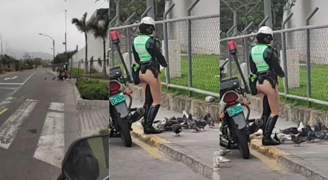 Policía de tránsito se volvió tendencia tras protagonizar una escena con palomas.