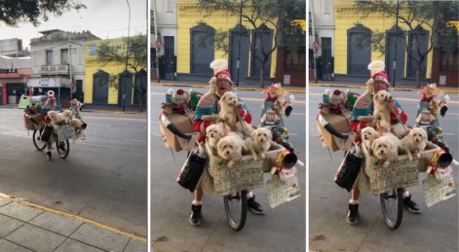 Un hombre viene llevando alegría a un grupo de perritos. Un hombre viene llevando alegría a un grupo de perritos.