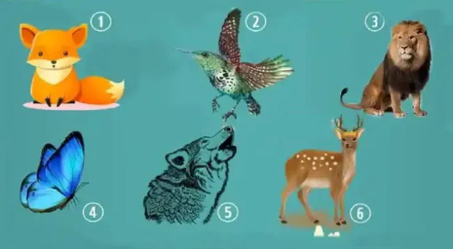 ¿Qué animal te representa? La elección podría revelarte cuál es tu peor pesadilla