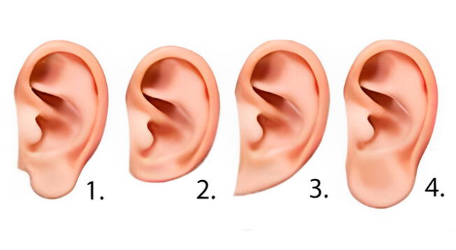 Conoce cómo es tu oreja y este test mostrará rasgos únicos de tu personalidad