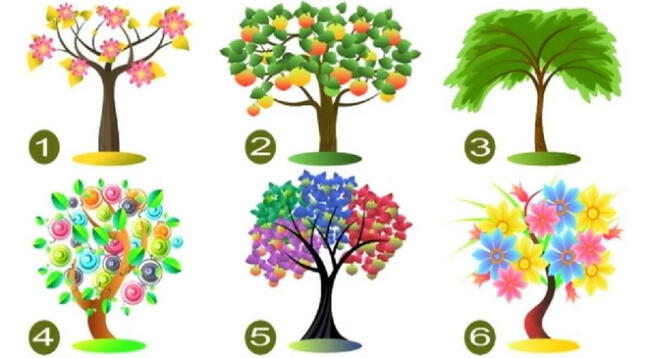 Elige tu árbol favorito y conoce si eres una persona transparente.