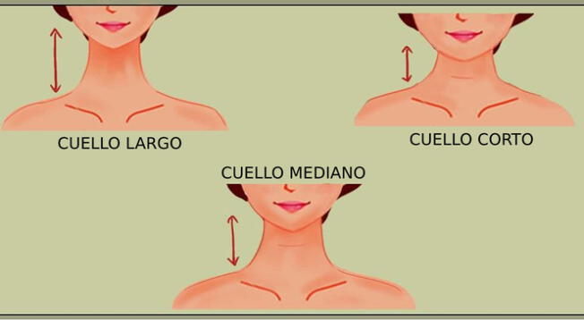 ¿De qué tamaño es tu cuello? El test psicológico que revelará tu carácter en el amor