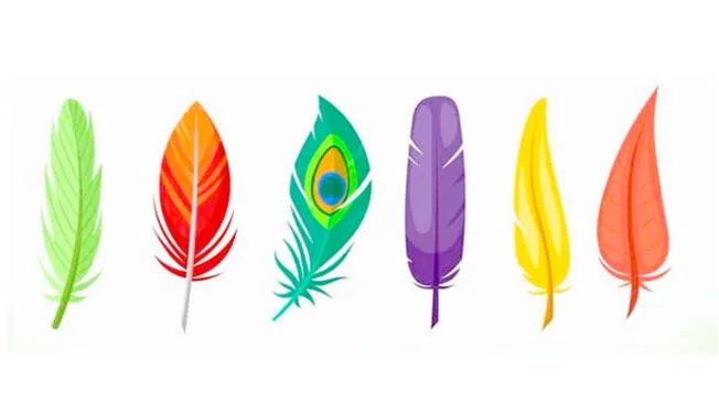Elige una pluma y conoce más de tu vida amorosa.