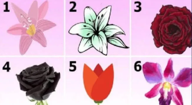 Test de personalidad: Elige una de las flores y conoce más sobre tu personalidad