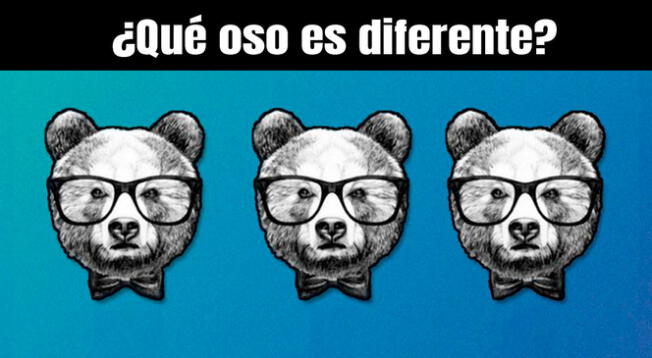 ¿Ves al oso diferente? Resuelve este reto visual descifrado por genios