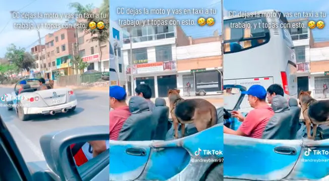 Hombres y su perrito se pasean en singular auto que causa sensación en las redes sociales.