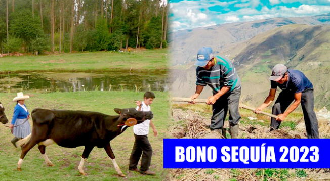 Entérate de todo lo que debes saber sobre este nuevo bono para agricultores y ganadores del Perú.