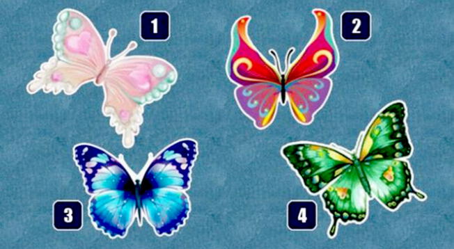 Puedes descubrir más detalles de tu personalidad con este asombroso test visual basado en mariposas.