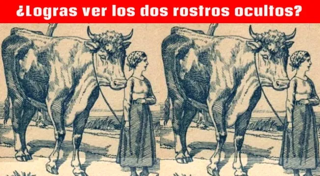 Encuentra los 2 rostros ocultos y grita que eres genio