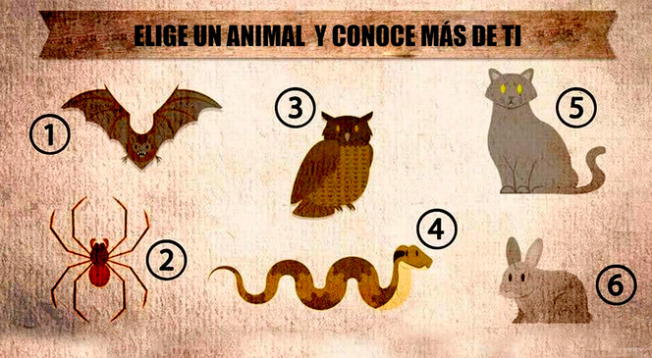 Test visual: El animal que prefieras revelará detalles sorprendentes de tu personalidad en cuestión de segundos.