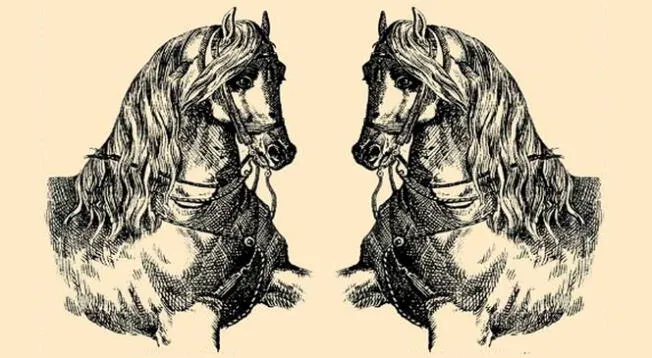 No te rindas fácilmente y da lo mejor de ti para lograr superar este reto visual extremo en solo 5 segundos. No te rindas fácilmente y da lo mejor de ti para lograr superar este reto visual extremo en solo 5 segundos.