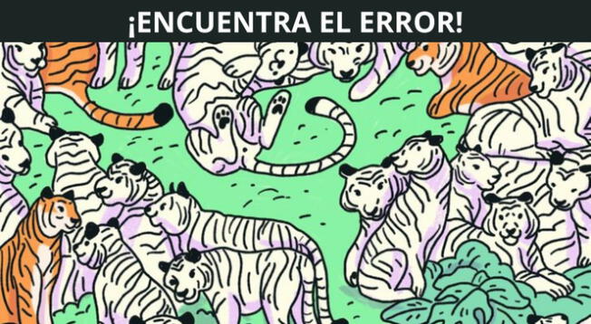 Pon a prueba tus habilidades con este reto visual. Pon a prueba tus habilidades con este reto visual.