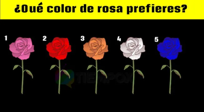 Test de personalidad según la rosa que más llame tu atención