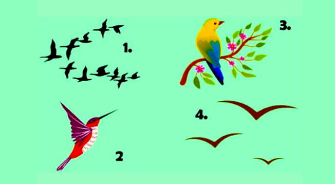 Piensa sabiamente y escoge el ave que más te guste para que puedas conocer más sobre ti.