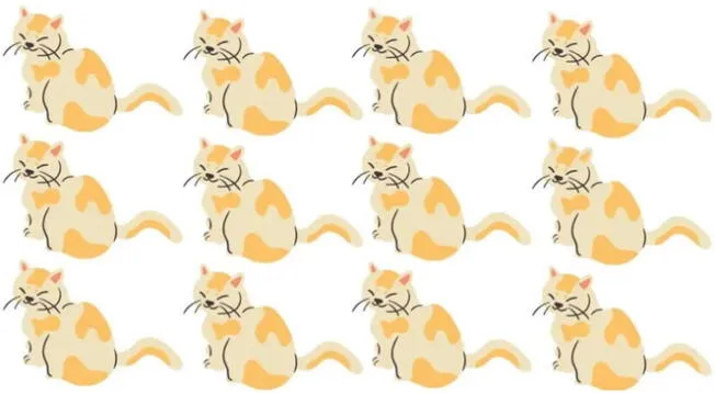 ¿Cuál es el gato diferente Resuelve este RETO VISUAL hecho para GENIOS ¿Cuál es el gato diferente Resuelve este RETO VISUAL hecho para GENIOS
