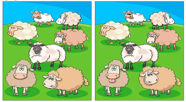 Solo una persona inteligente podrá superar este reto visual extremo. Solo una persona inteligente podrá superar este reto visual extremo.