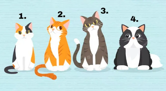 ¿Qué gatito te representa? Este test personalidad dirá si eres ocioso