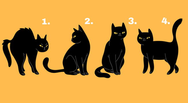 ¿Qué gato negro eliges? Elige uno y deja que este test de personalidad te impresione