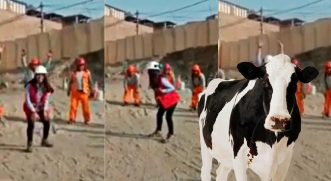 Ingeniera hace bailar a obreros con la dinámica de la vaca y se hace viral - VIDEO