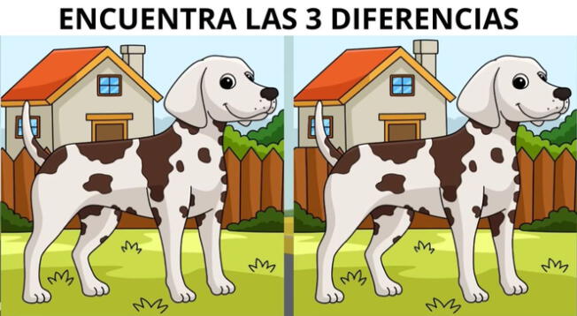 Pon a prueba tu capacidad visual intentando superar este reto EXTREMO. Pon a prueba tu capacidad visual intentando superar este reto EXTREMO.