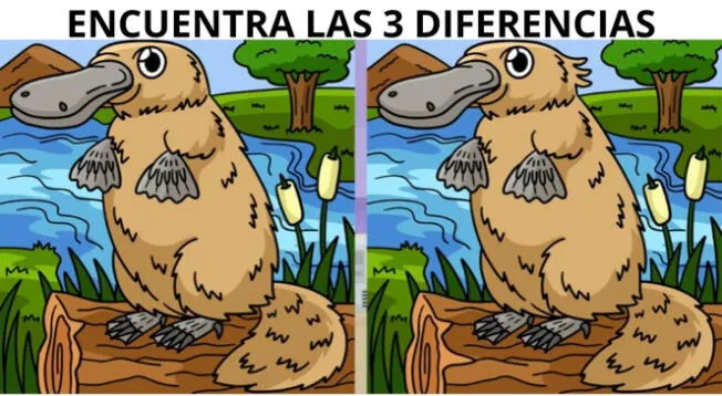 Pon a prueba tu capacidad visual resolviendo este reto. Pon a prueba tu capacidad visual resolviendo este reto.