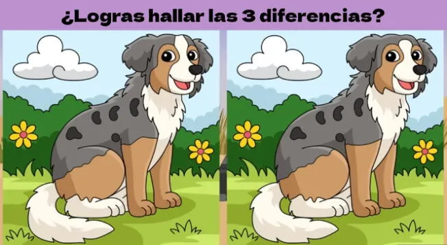 Encuentra las 3 diferencias y demuestra que eres brillante