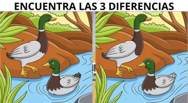 Pon a prueba tu agilidad visual con este complicado reto. Pon a prueba tu agilidad visual con este complicado reto.