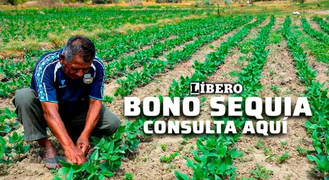 Bono sequía para agricultores y ganaderos: consulta si accedes al subsidio