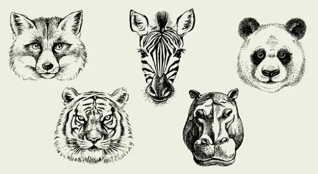 Escoge el animal que prefieras y descubre más detalles de tu personalidad. Escoge el animal que prefieras y descubre más detalles de tu personalidad.