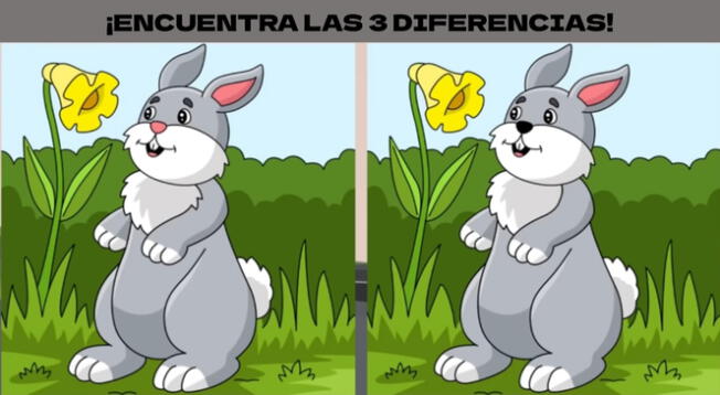 Solo si eres genio podrás encontrar las 3 diferencias en el reto visual