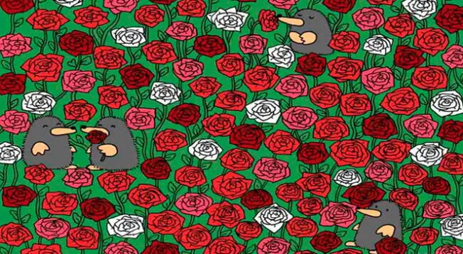 Hay un total de 3 corazones en este reto visual, los cuales están escondidos en un jardín lleno de rosas. Hay un total de 3 corazones en este reto visual, los cuales están escondidos en un jardín lleno de rosas.