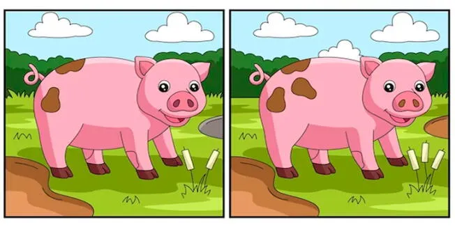 Ubicarás todas las diferencias del reto en menos de 5 segundos. Ubicarás todas las diferencias del reto en menos de 5 segundos.